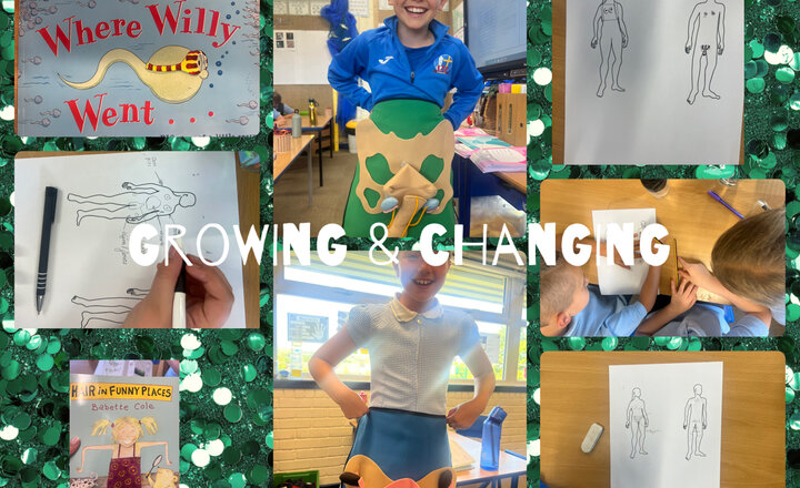 Image of PSHE - Growing and Changing in Year 4 