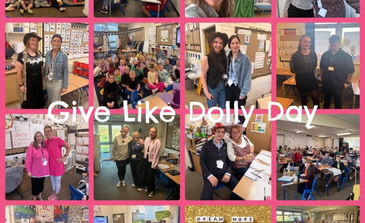 Image of Give Like Dolly Day