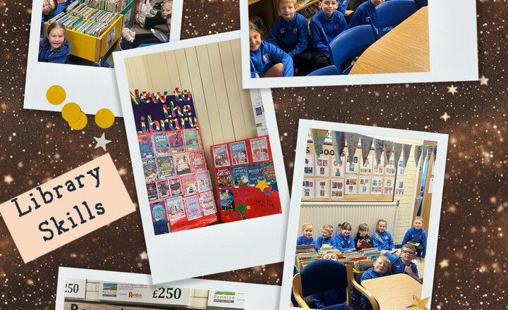 Image of Library Skills in Year 4