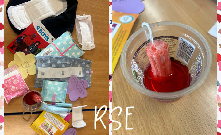 Image of Growing and Changing - Puberty - Menstruation 