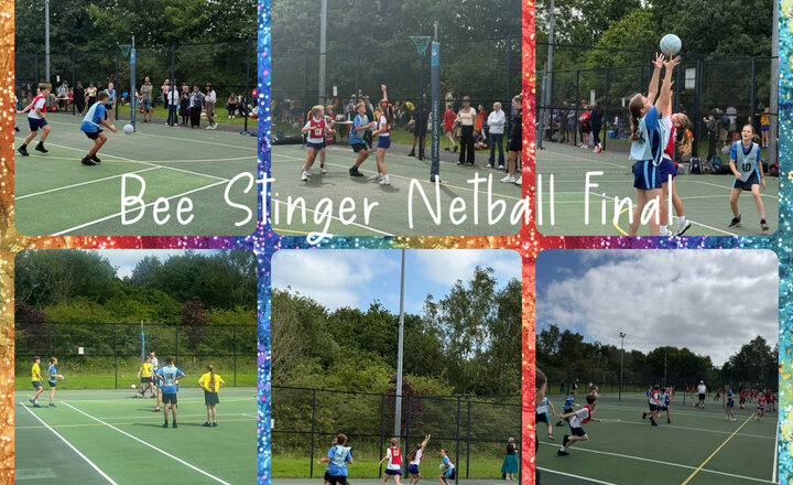 Image of Lancashire Schools Bee Stinger Netball 