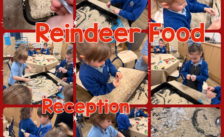 Image of Reception: Reindeer Food