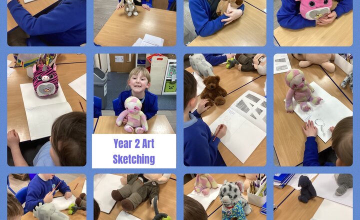 Image of Year 2 - Art - Sketching our cuddly toys