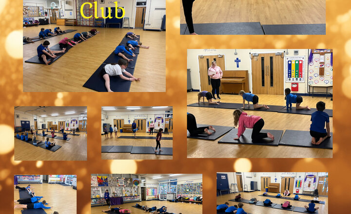 Image of Gifted and Talented Gymnastics Club