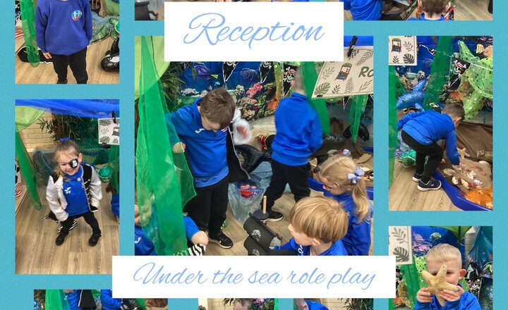 Image of Reception: Under the Sea 