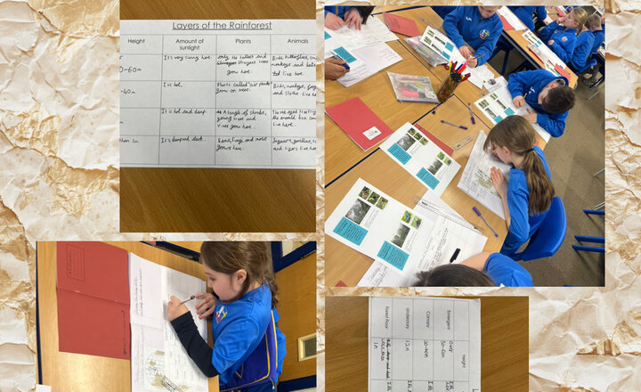 Image of Year 4 Geography - Rainforest Layers 