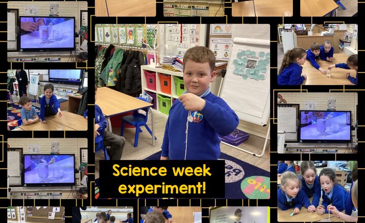 Image of Science Week - Year 2