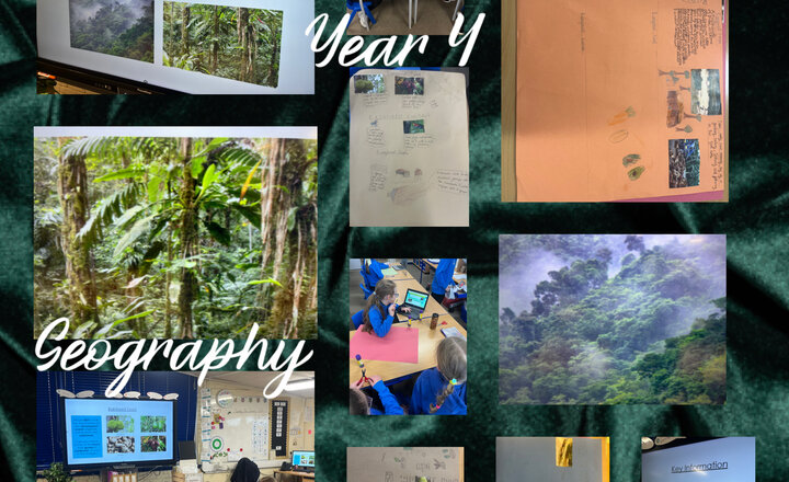 Image of Year 4 Geography - Features of a Rainforest 