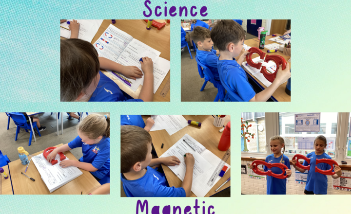Image of Year 3 - Science- Exploring Magnets: Poles, Fields, and Forces
