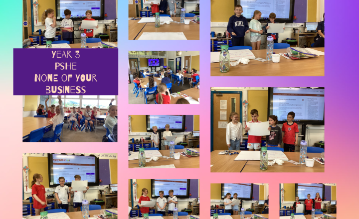Image of Year 3- PSHE- Online Safety Lesson: "None of your business!"
