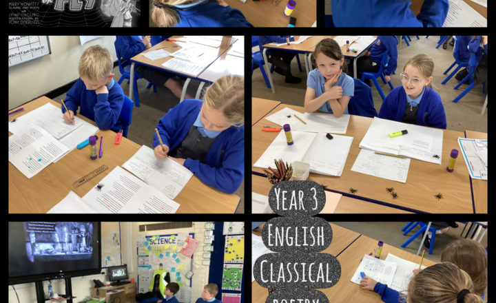 Image of Year 3 - English-Classical Poetry: The Spider and Fly