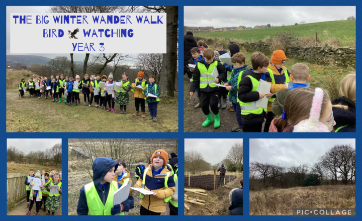 Image of Year 3-The Big Winter Wander and Birdwatching,