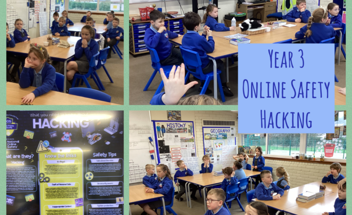 Image of Year 3- Online Safety- Protecting yourself from hackers
