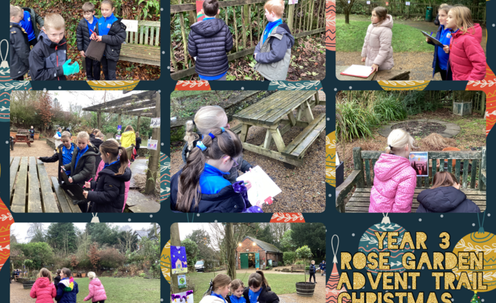 Image of Year 3- Advent trail- Rose Garden