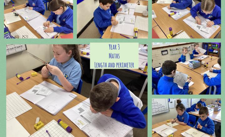 Image of Year 3- Maths- Calculating perimeter of 2D shapes