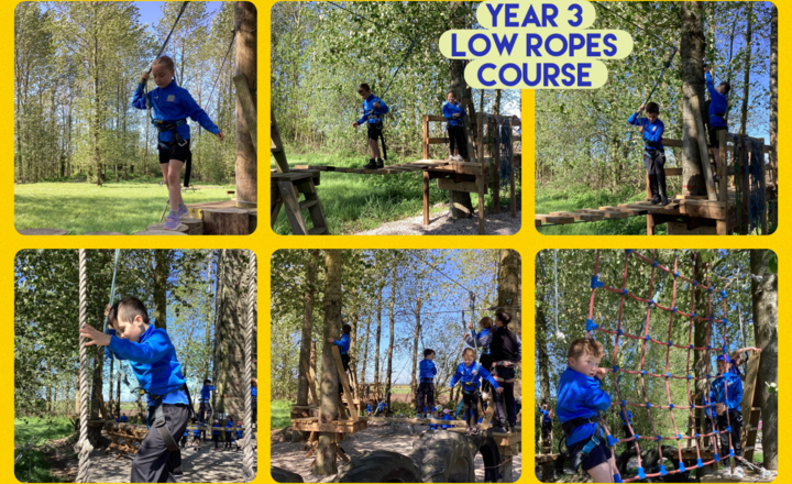 Image of Year 3- Rock and River- Low Ropes Course