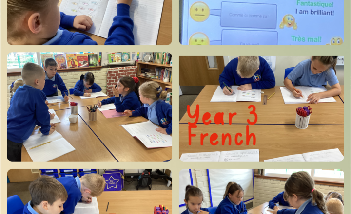 Image of Year 3- French- Emotive language-Comment Ca Va'