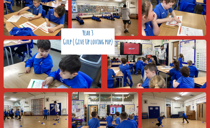 Image of Year 3 GULP Project-Final Recap and Results