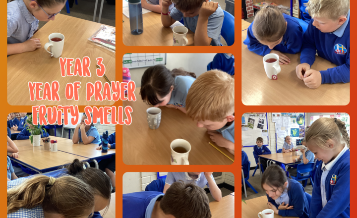 Image of Year 3- Year of Prayer- Fruity Smells