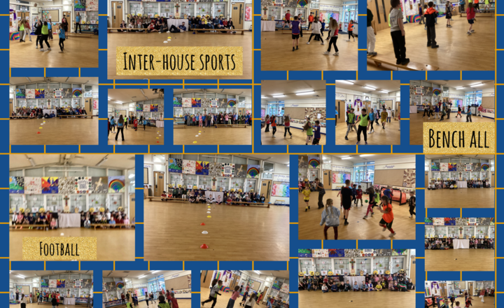 Image of Inter- House Sports -EYFS, KS1 and KS2 