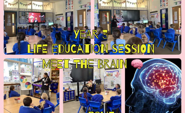 Image of Year 3- Meet the Brain!