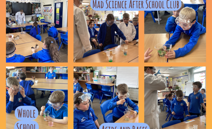 Image of Mad Science After School Club- Exploring the Chemistry of Curiosity: pH Levels