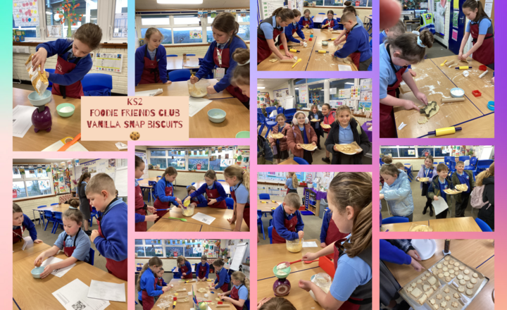 Image of Foodie Friends Club- Vanilla Snap Biscuits 