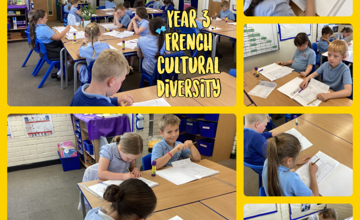 Image of Year 3- French - Language and Culture