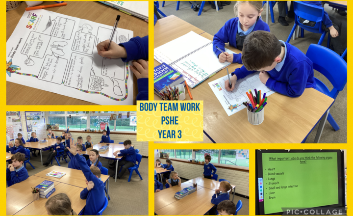 Image of Year 3 - PSHE-Body Team Work