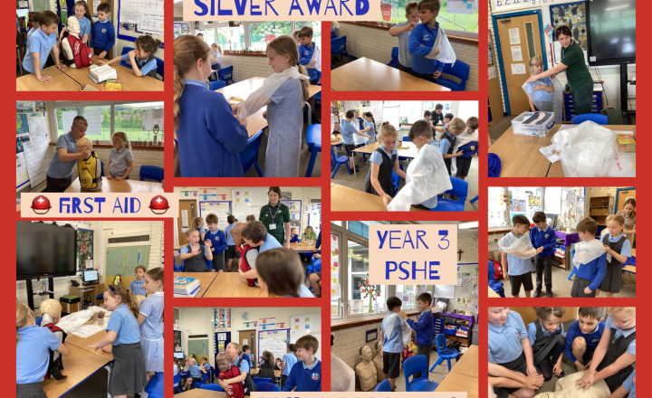 Image of Year 3- Panda Paramedic First Aid Workshop