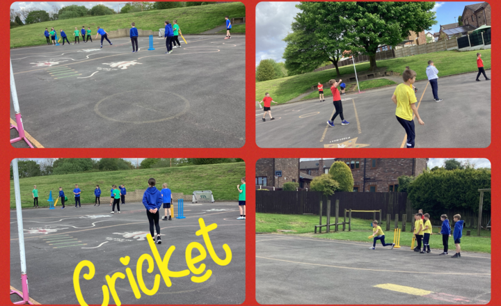 Image of Year 5- P.E- Bowling skills