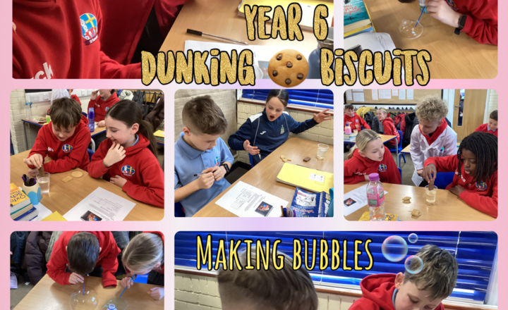 Image of British Science Week- Year 6- The Great Biscuit Dunk: Exploring Material Properties and Absorbency