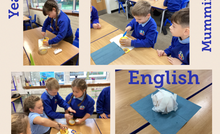 Image of Year 3- English- History-Understanding Mummification Through Experiment