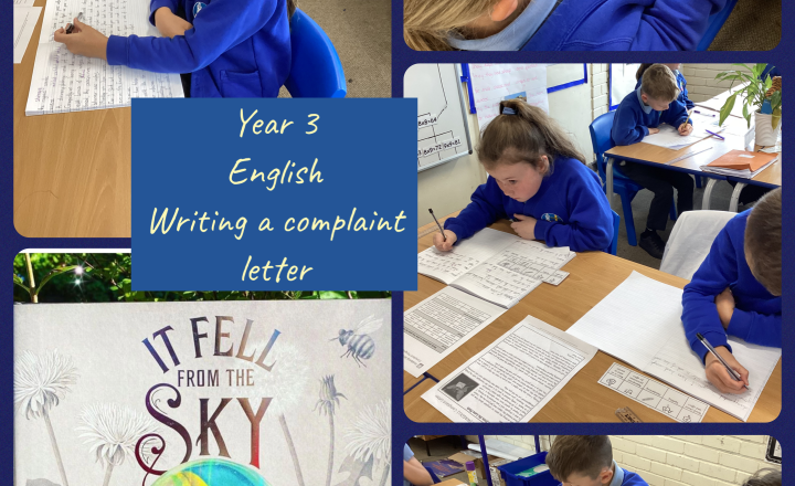Image of Year 3- English- Writing in Role: The Beetle's Complaint