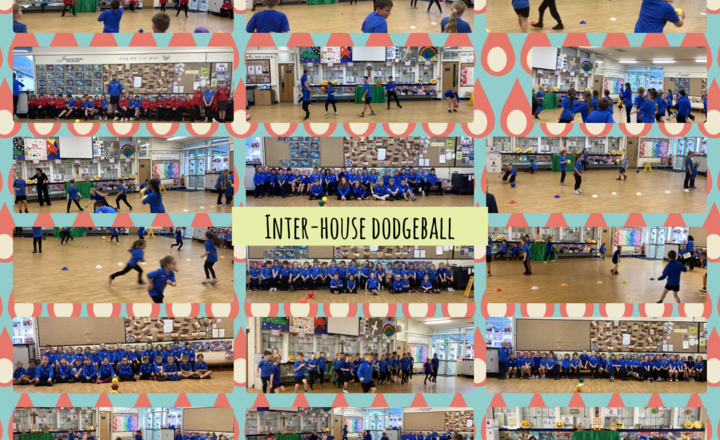 Image of Inter-House Dodgeball 