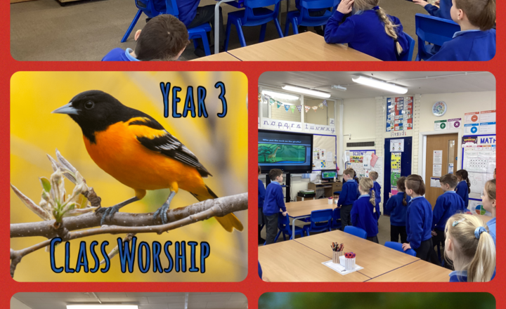 Image of Year 3- Class Worship- Is it our responsibility to protect local wildlife?