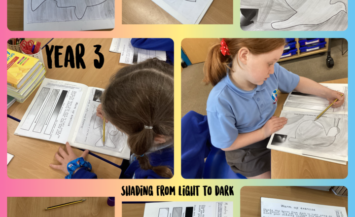 Image of Year 3- Art- Shading from light to dark