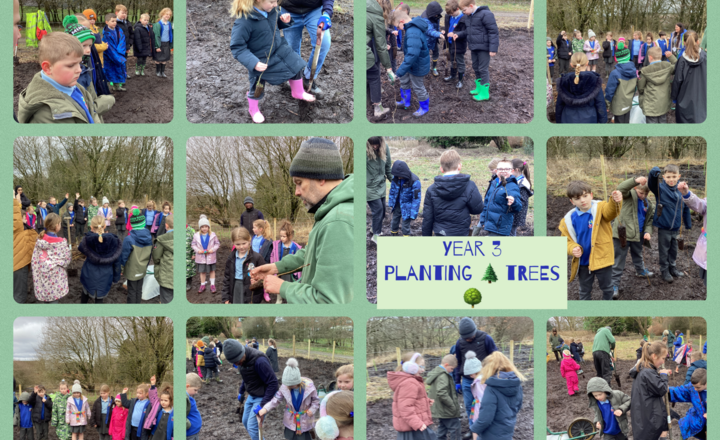 Image of Year 3’s Microforest Adventure- Planting Trees