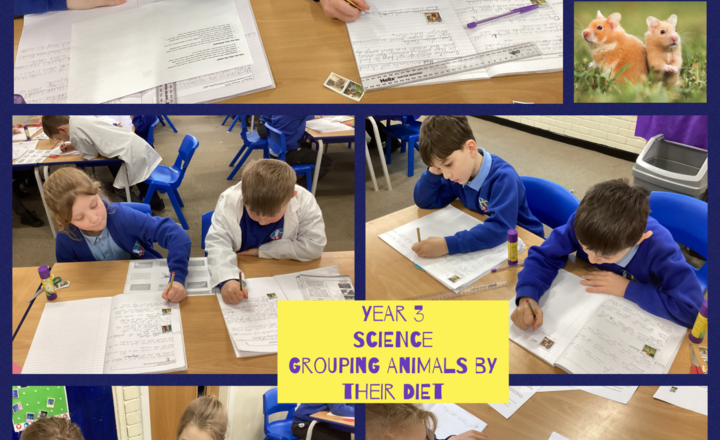 Image of Year 3- science - Comparing and grouping animals by their diet.