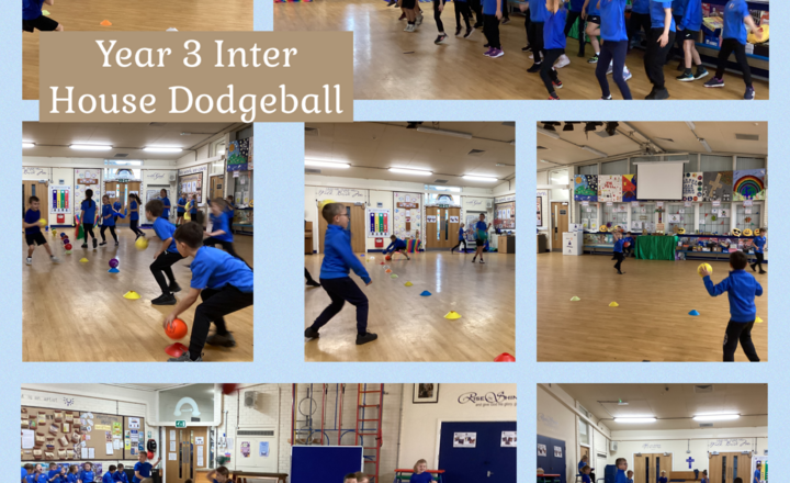 Image of Year 3- Inter House Dodgeball-