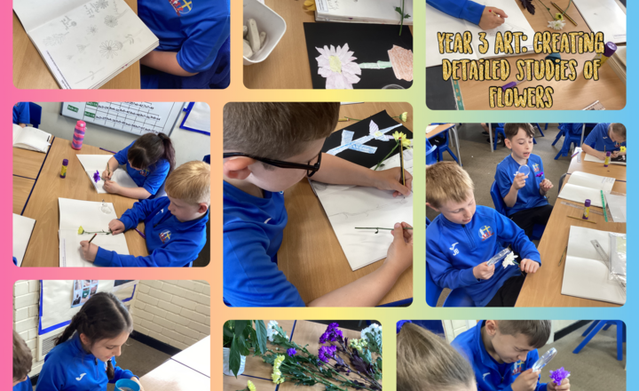 Image of Year 3- Art- Observational skills