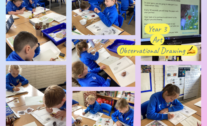 Image of Year 3- Art- Observing Patterns and Tone