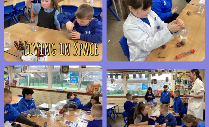 Image of Mad Science After School Club- Living in Space