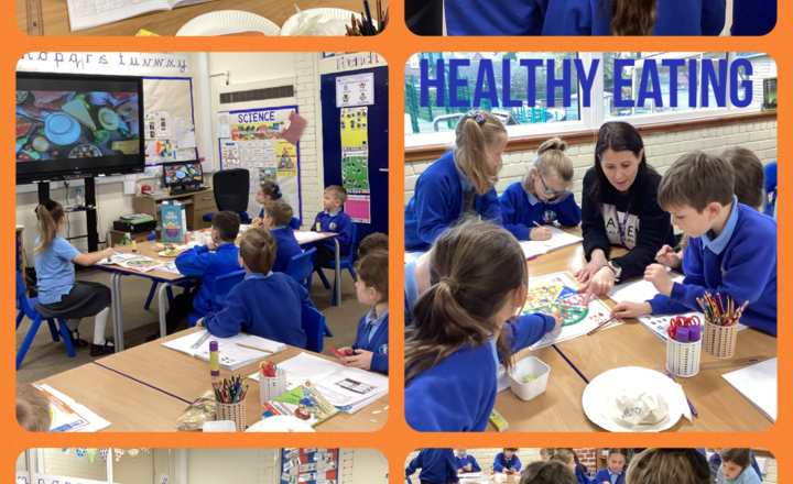 Image of Year 3- Science- Sorting and Classifying Food