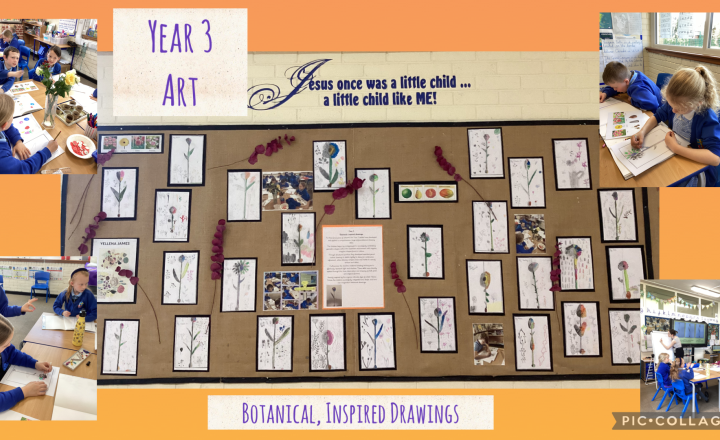 Image of Year 3 Botanical Drawings-Inspired by Yellena James