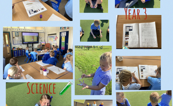 Image of Year 3- Science-Using scientific evidence, and explain the effectiveness of suncream as protection against the sunlight