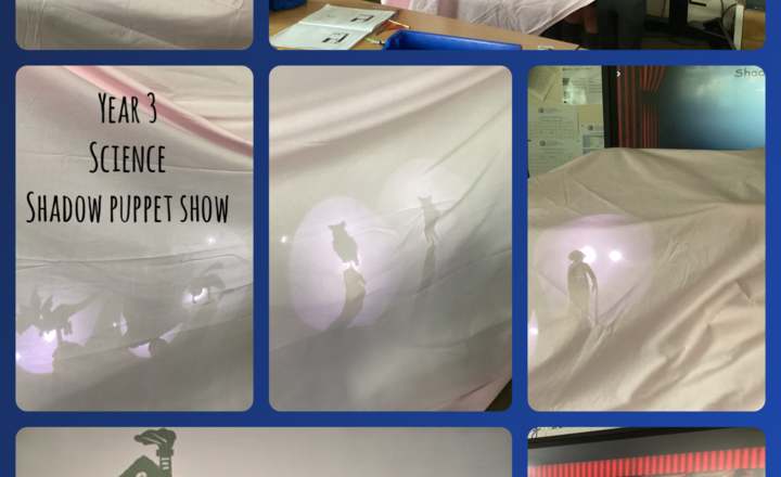 Image of Year 3- Science- Making A Shadow Puppet Show