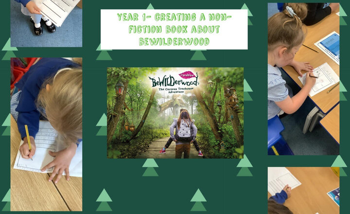 Image of Year 1 English- Creating a Non-Fiction Book About BeWILDerwood