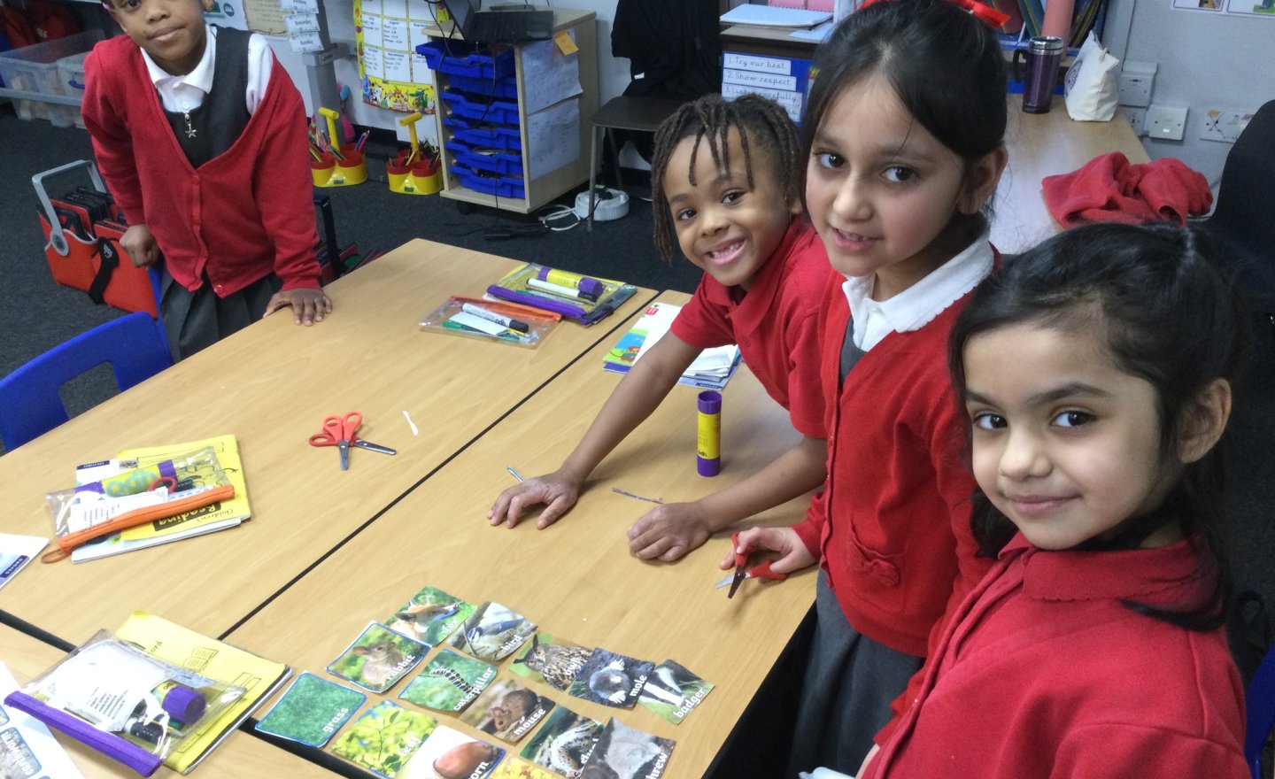 Image of Year 2 (Class 6) - Science - Food Chains