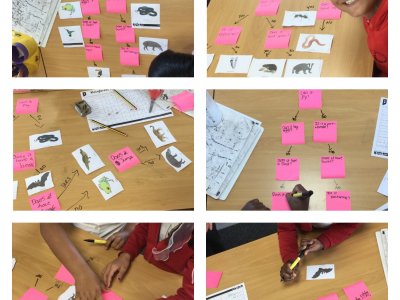 Image of Year 4 (Class 11) - Science - Living Things